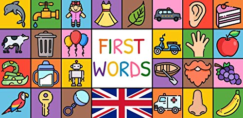 my first 25 words flashcards for baby